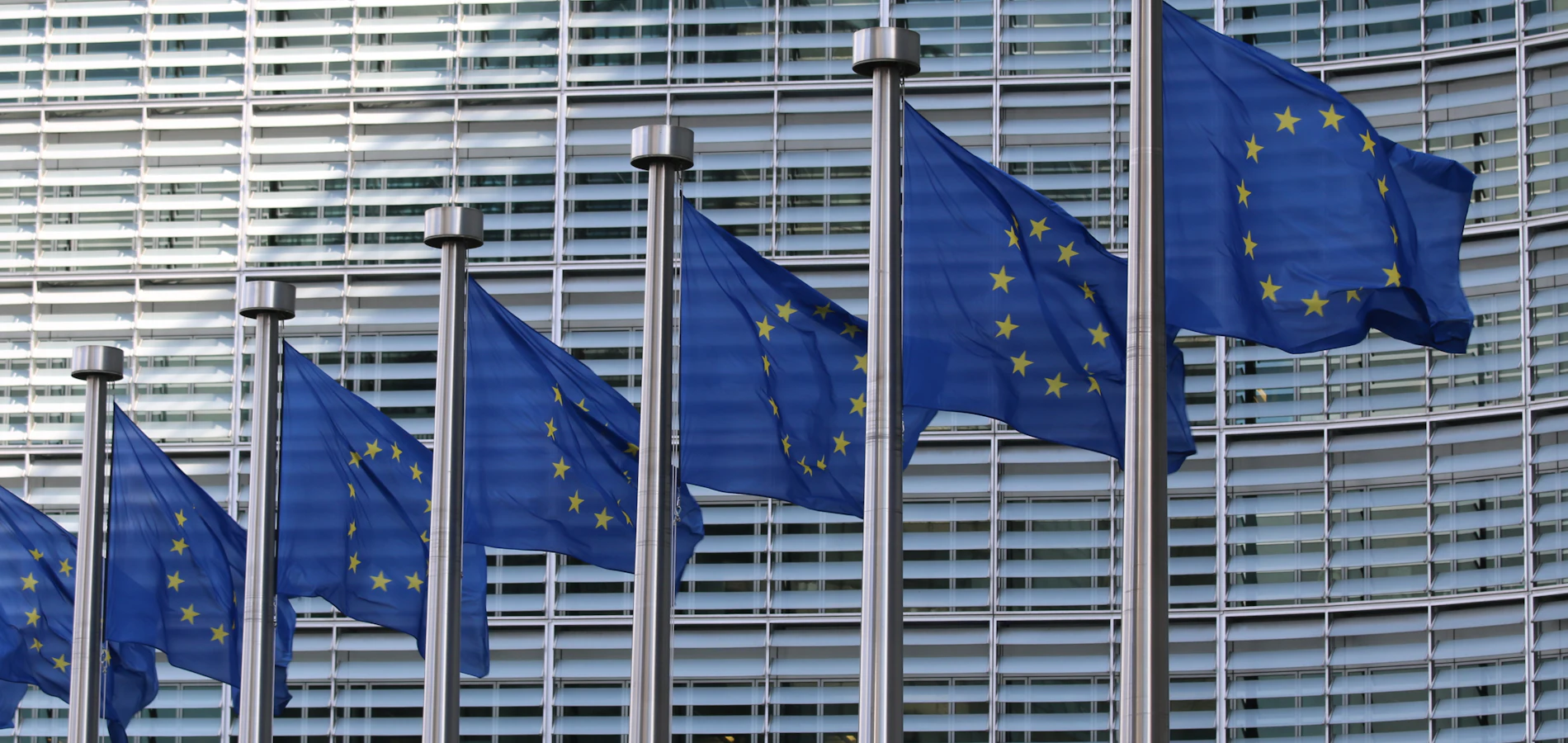 A row of European Union flags outside a modern office building